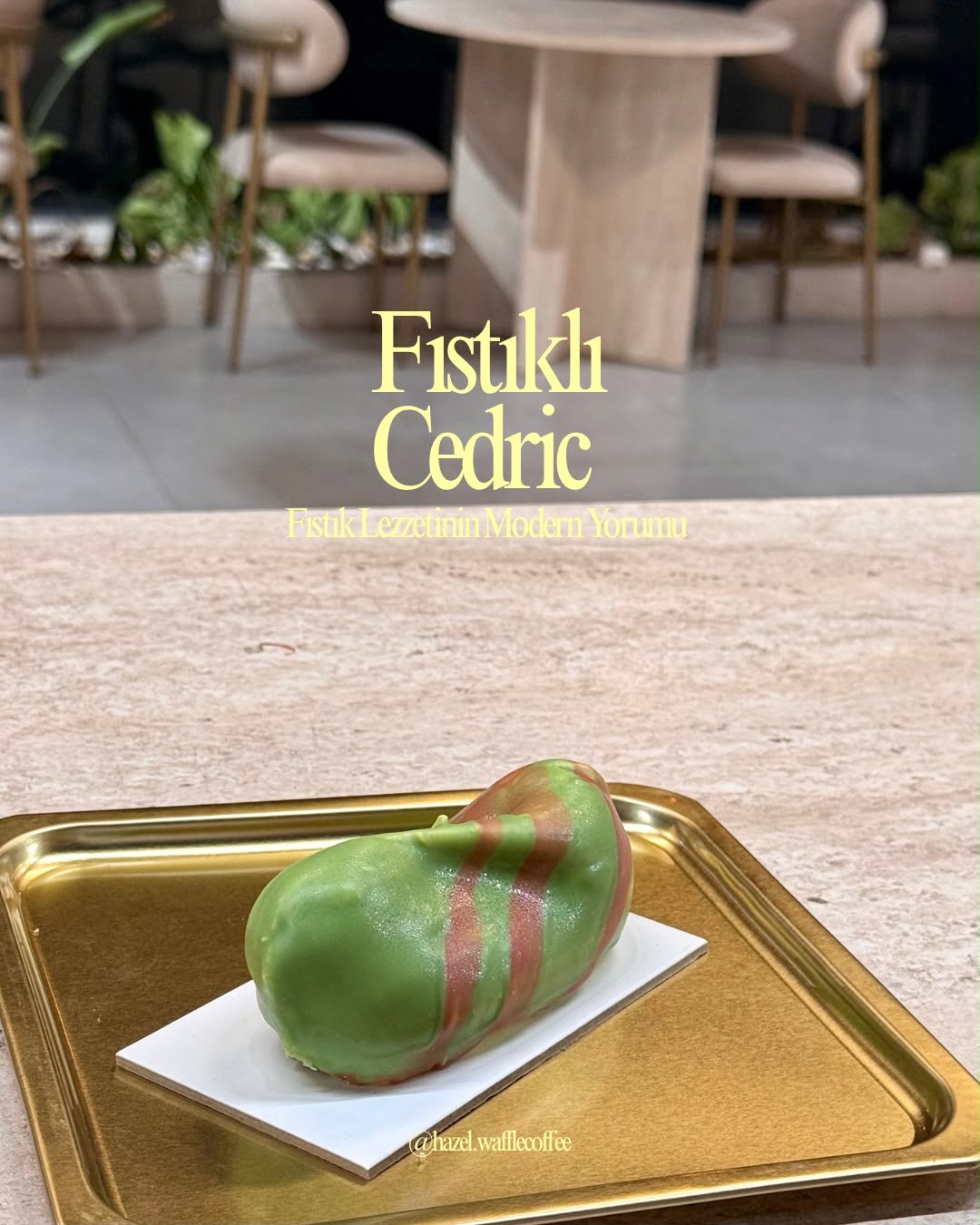 Cedric Grolet ( Fıstıklı)
